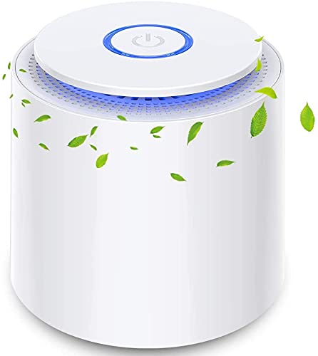 HAUEA Portable Air Purifier