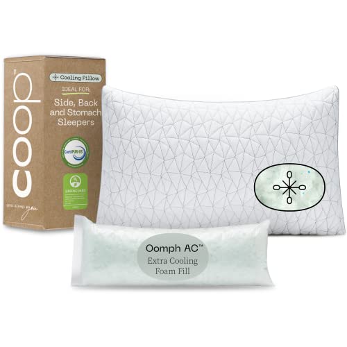 Coop Home Goods Eden Adjustable Pillow