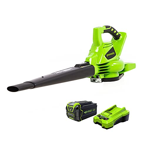 Greenworks Cordless Leaf Blower Vacuum