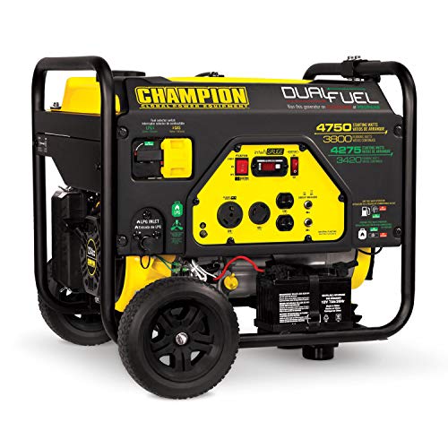 Champion 3800-Watt Dual Fuel Portable Generator