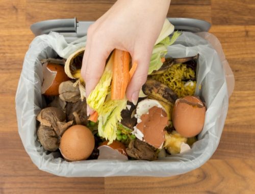 The Best Indoor Compost Bins