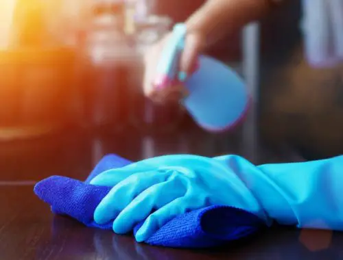 The Best Disinfectants